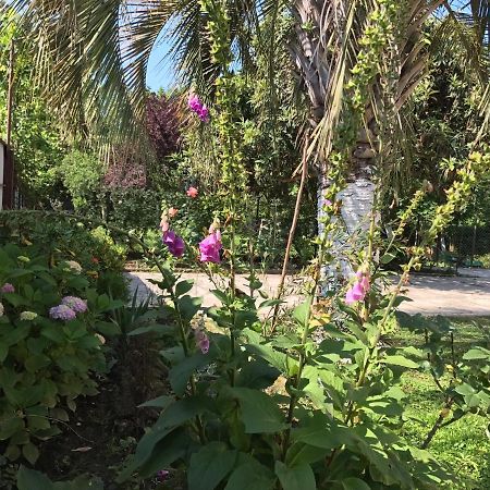 Guest House Evkalipt Ochamchire Exterior foto