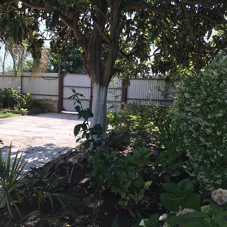 Guest House Evkalipt Ochamchire Exterior foto