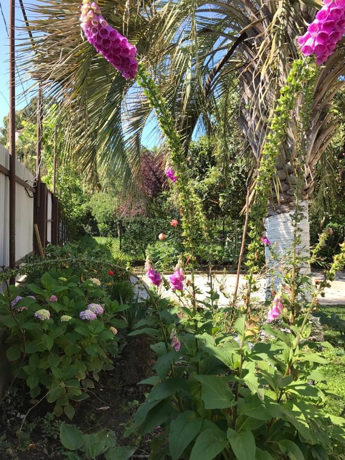 Guest House Evkalipt Ochamchire Exterior foto