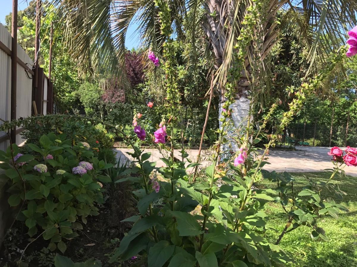 Guest House Evkalipt Ochamchire Exterior foto